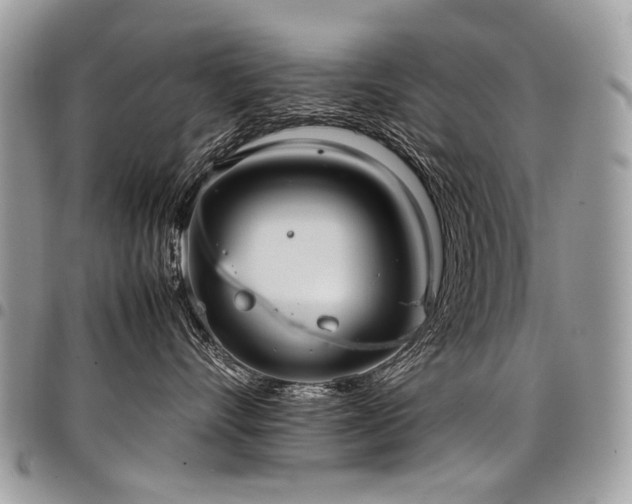 X0000098020528200803281337