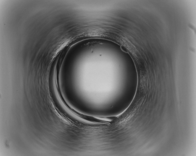 X0000098020530200803281336