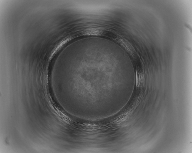 X0000098020531200803281336