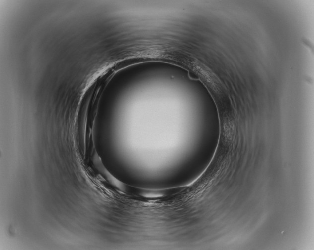 X0000098020532200803281336