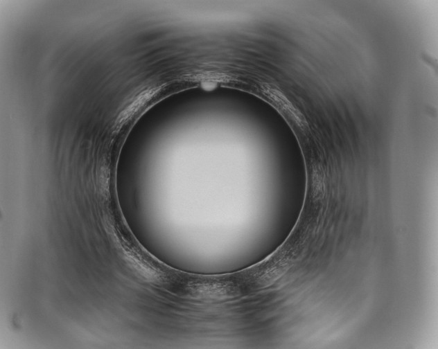 X0000098020533200803281336