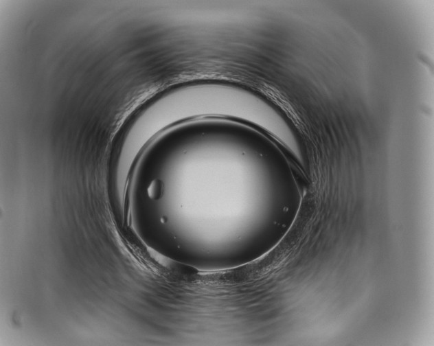 X0000098020534200803281336