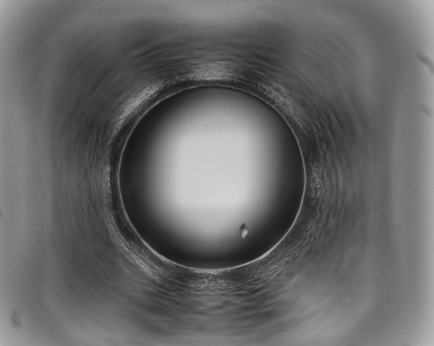 X0000098020535200803281336