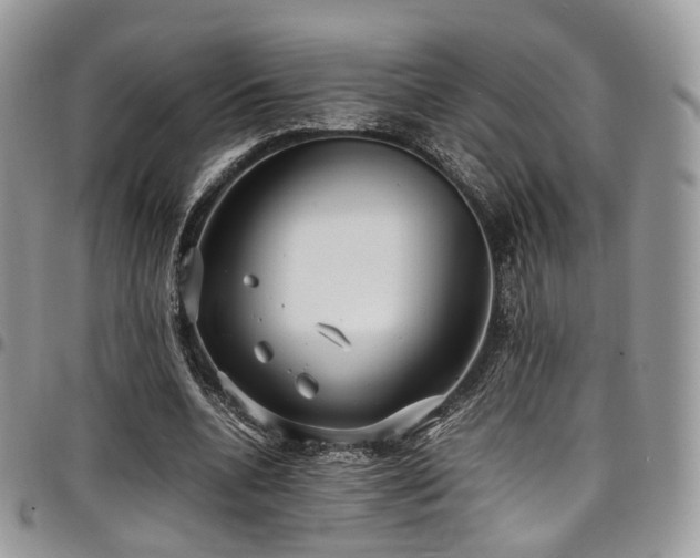 X0000098020536200803281336