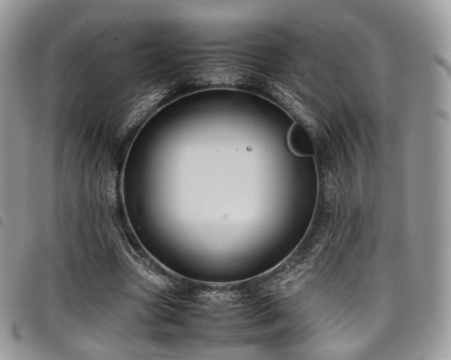 X0000098020537200803281336