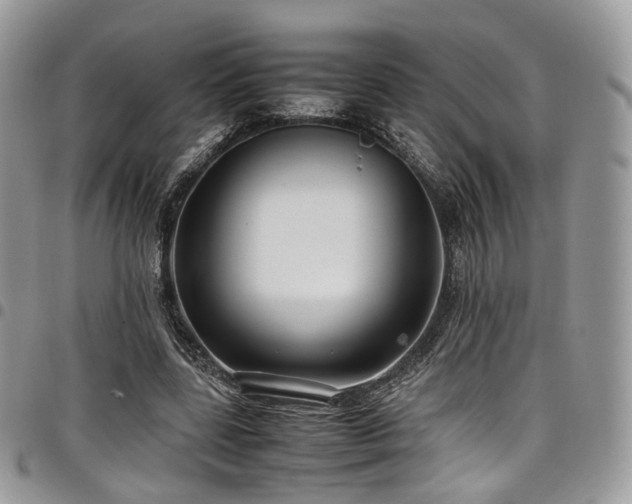 X0000098020539200803281336