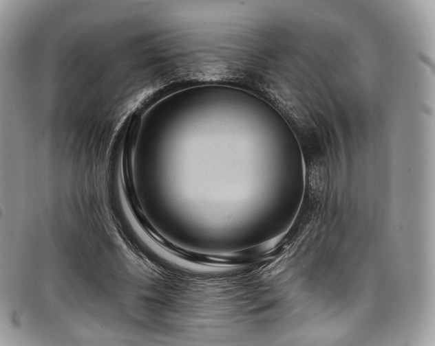 X0000098020540200803281336