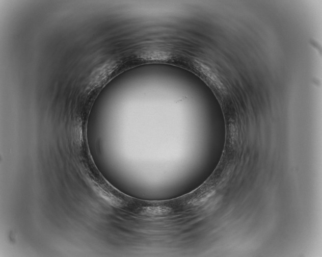 X0000098020541200803281336