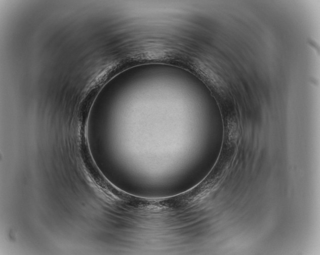 X0000098020542200803281336