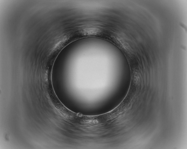 X0000098020543200803281336