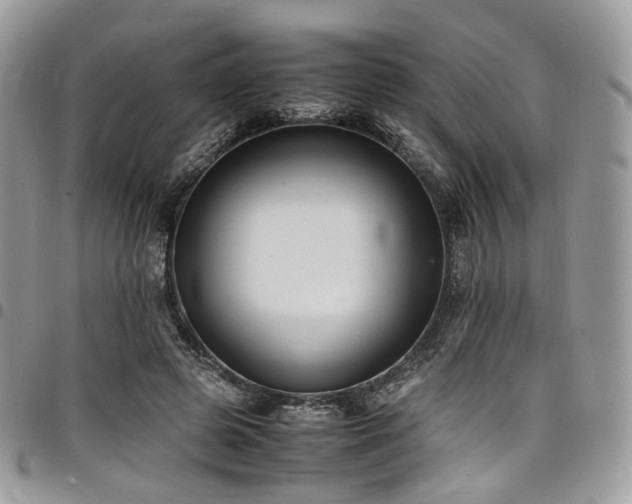 X0000098020545200803281336