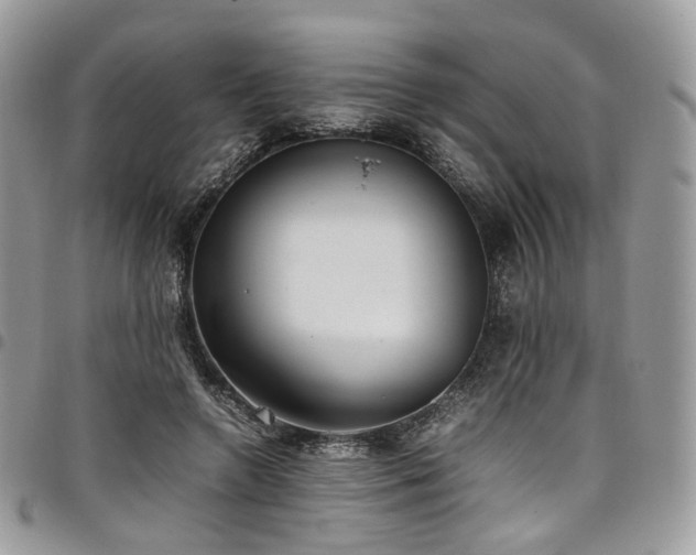 X0000098020546200803281336