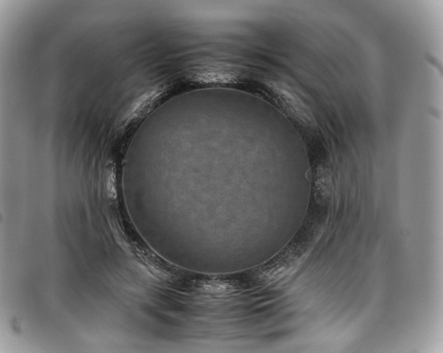 X0000098020547200803281336