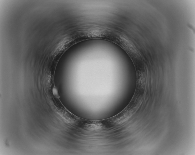 X0000098020548200803281336