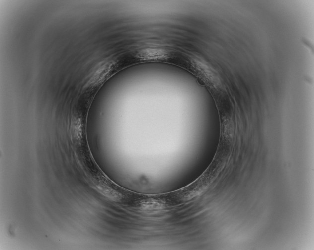 X0000098020549200803281336