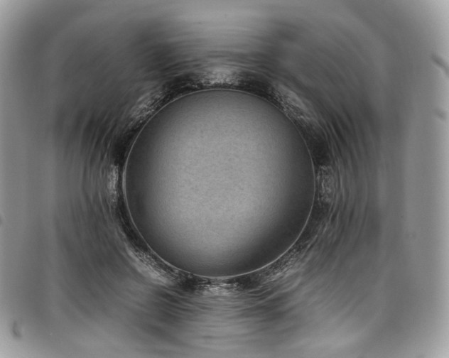 X0000098020550200803281336