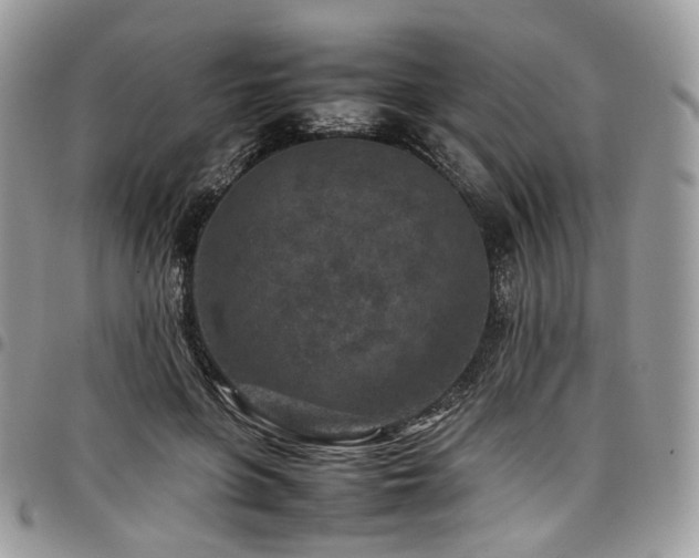 X0000098020551200803281336