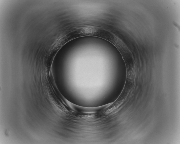 X0000098020552200803281336