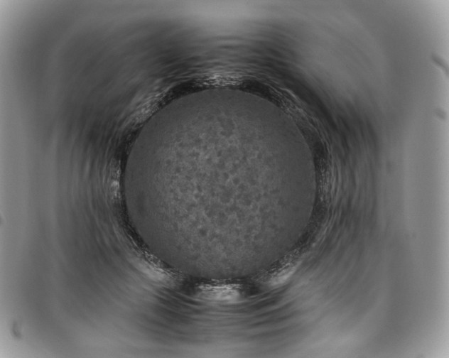 X0000098020553200803281336