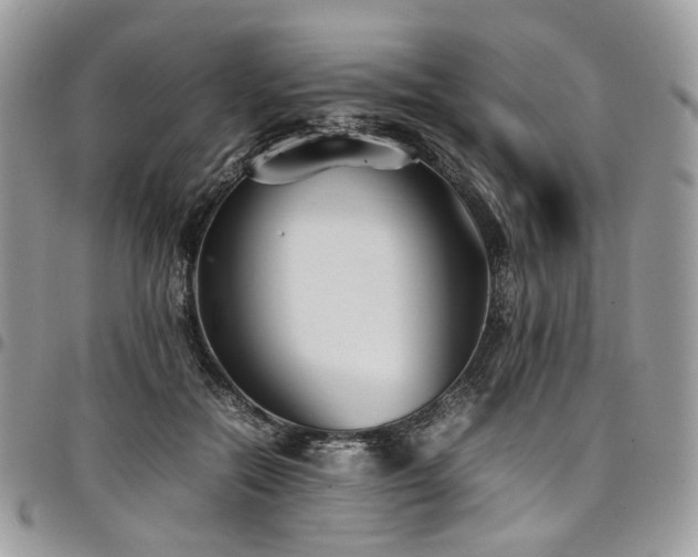 X0000098020554200803281336