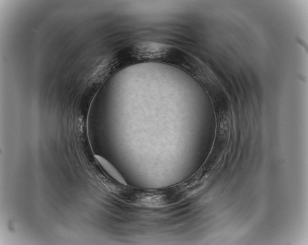 X0000098020555200803281336