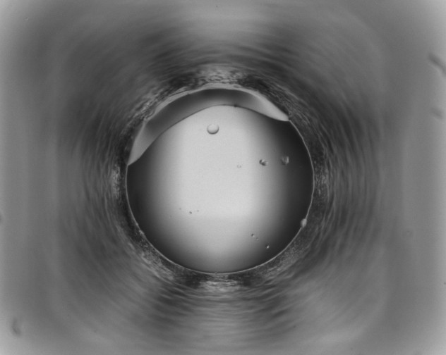 X0000098020556200803281336