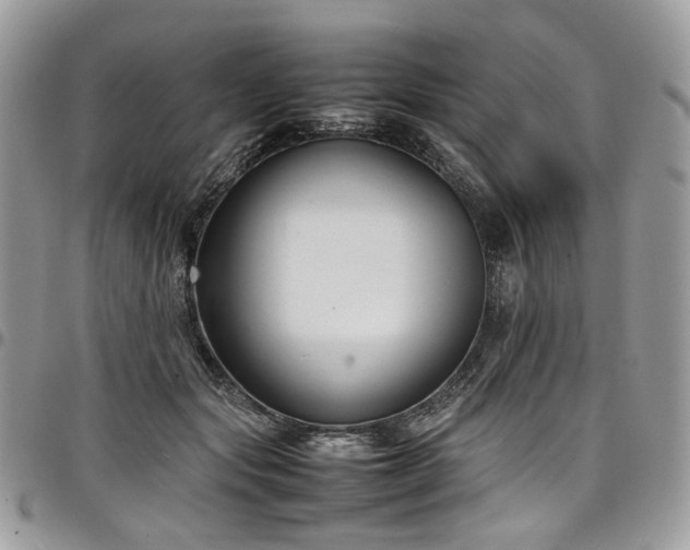 X0000098020557200803281336