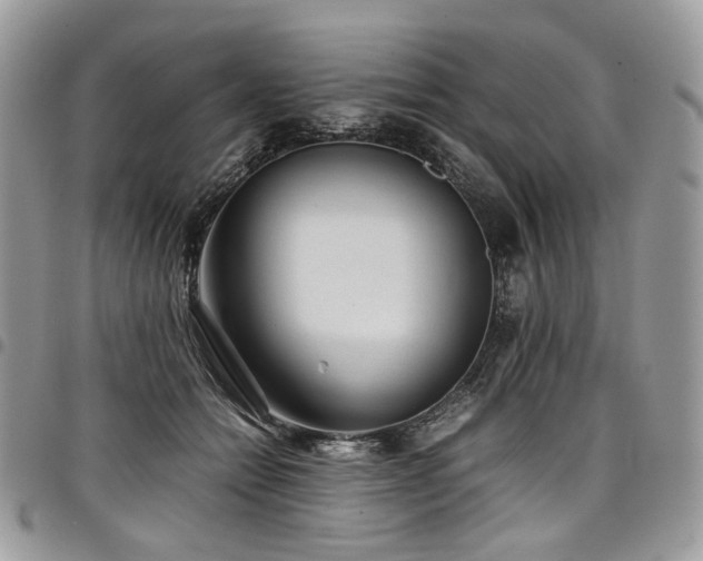 X0000098020558200803281336