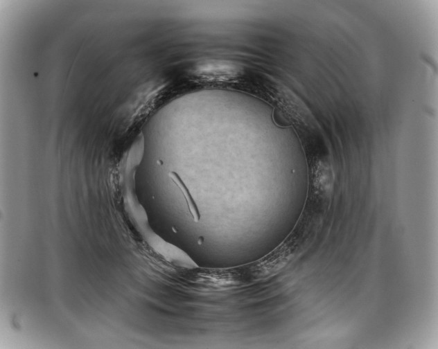 X0000098020559200803281336