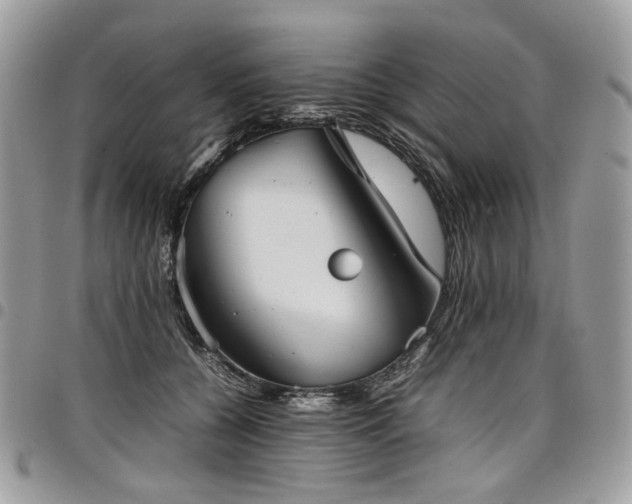 X0000098020560200803281337