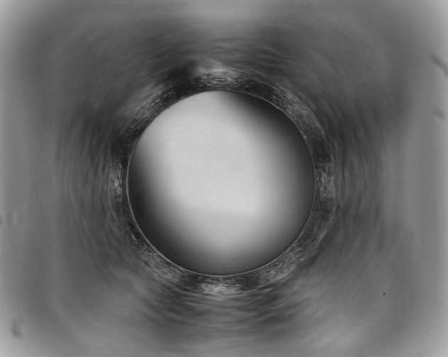 X0000098020561200803281337