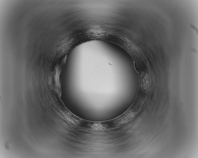 X0000098020562200803281337