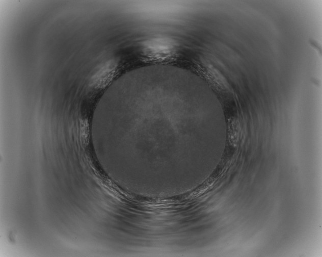 X0000098020563200803281337