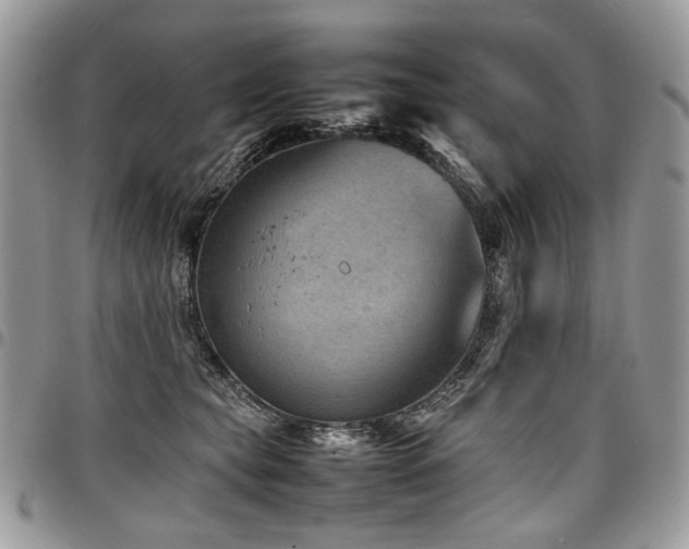 X0000098020565200803281337