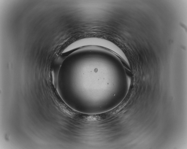 X0000098020566200803281337