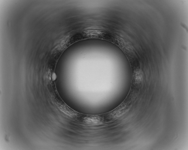 X0000098020567200803281337