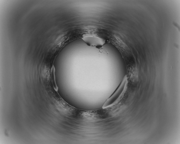 X0000098020568200803281337