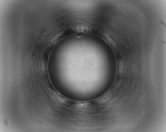 X0000098020569200803281337