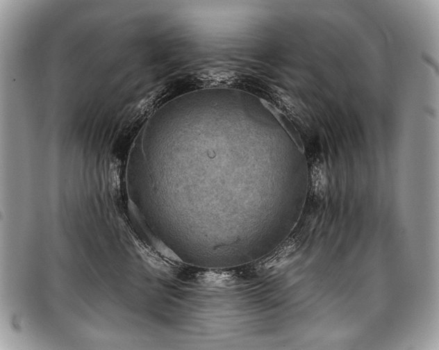 X0000098020570200803281337