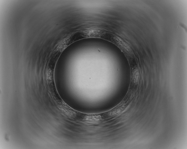 X0000098020571200803281337