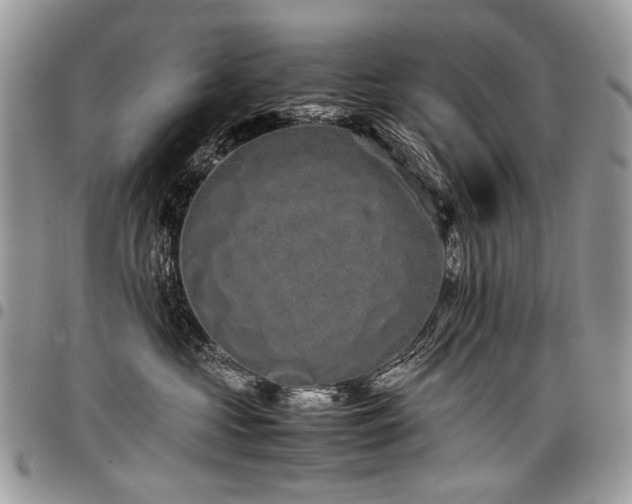 X0000098020573200803281337