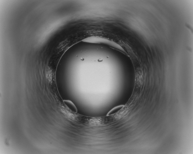 X0000098020574200803281337