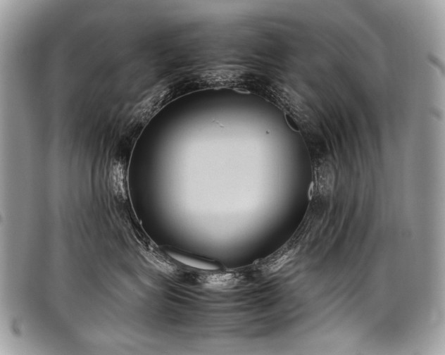 X0000098020575200803281337