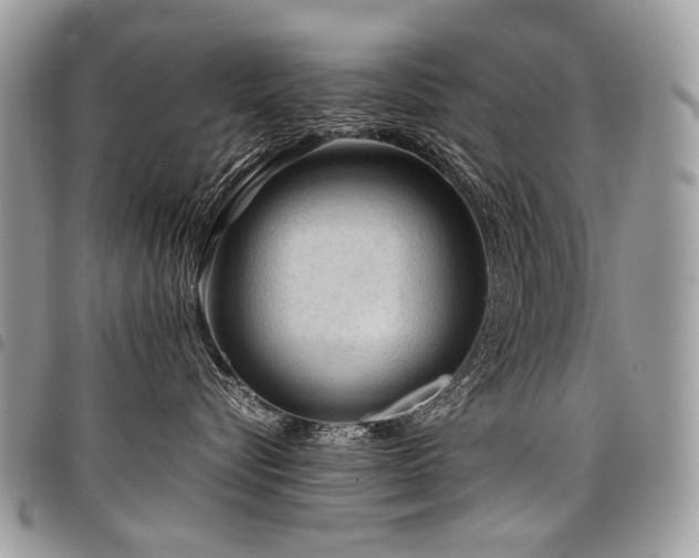 X0000098020576200803281337