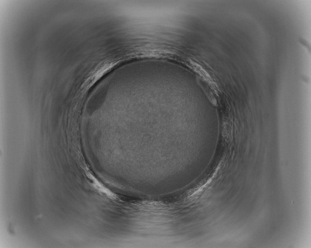 X0000098020577200803281336