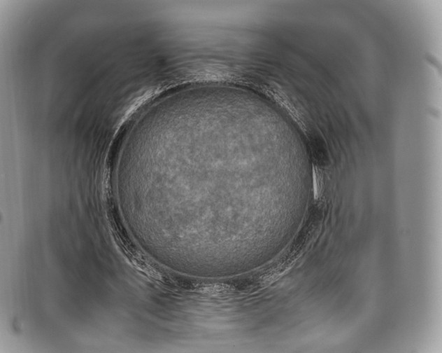 X0000098020579200803281336