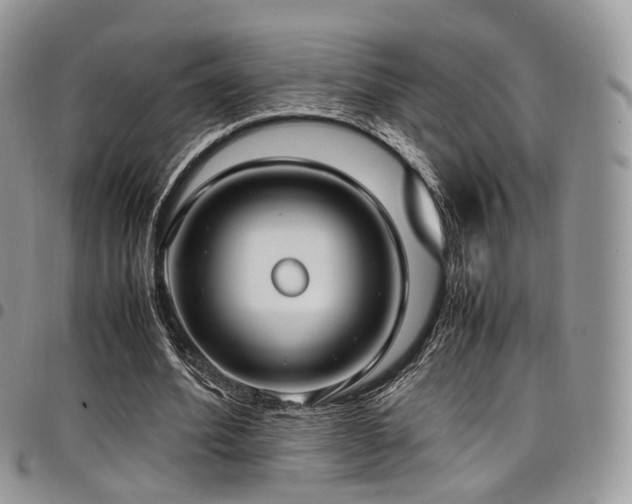 X0000098020580200803281336