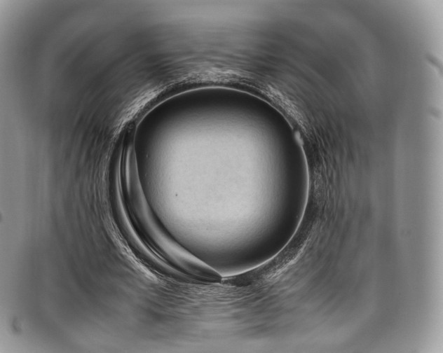 X0000098020581200803281336