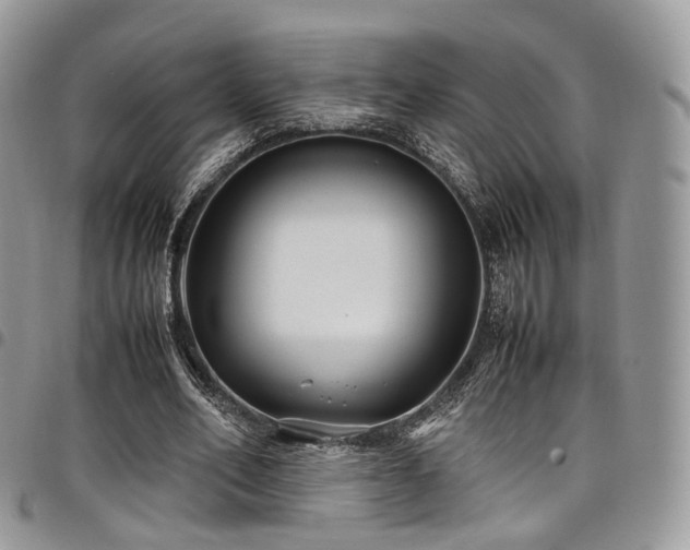 X0000098020582200803281336