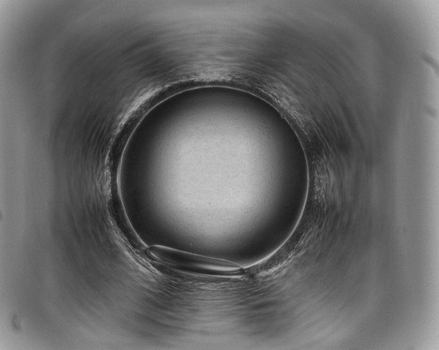 X0000098020584200803281336